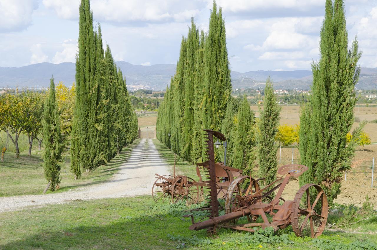 Fattoria Le Giare Agriturismo Villa Cortona Exterior photo